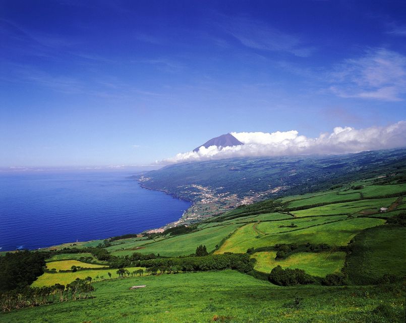 Landschaft auf Pico, Azoren