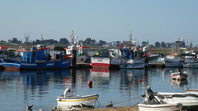 Fischerboote in Santa Luzia, östliche Algarve