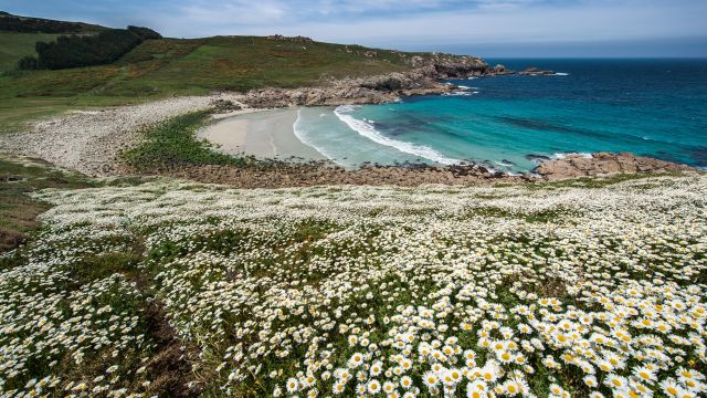 Blumenwiese und einsamer Strand in Galizien