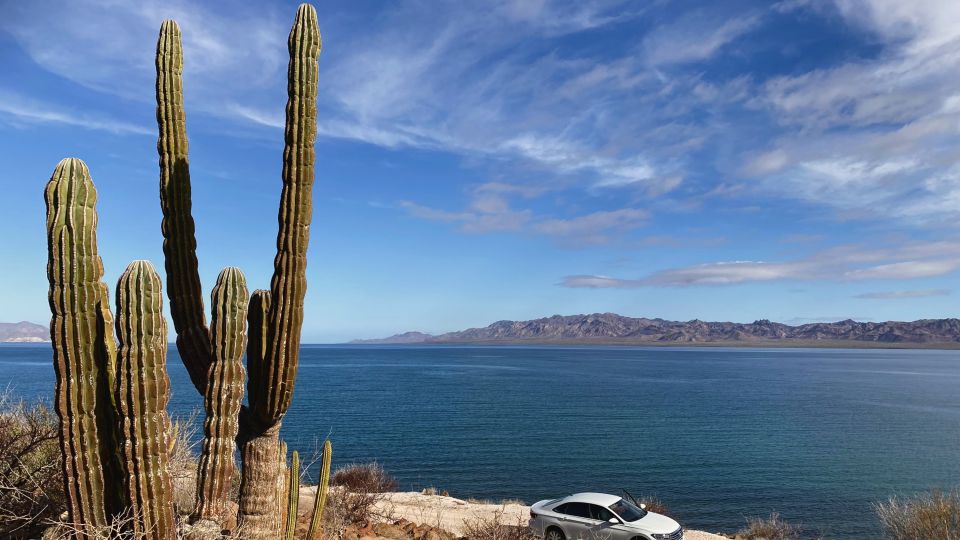 Mit dem Auto sind Sie entlang der Küste der Baja California unterwegs