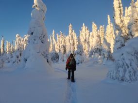 Wandern im Winterwald