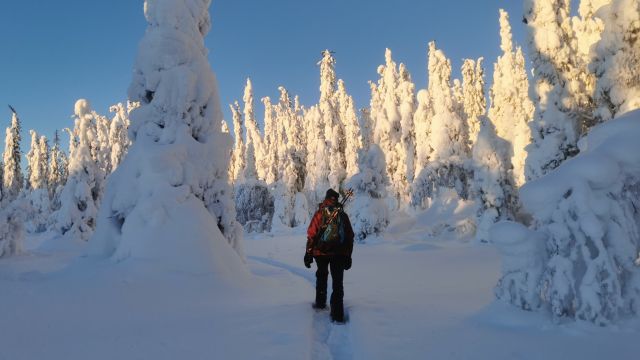 Wandern im Winterwald