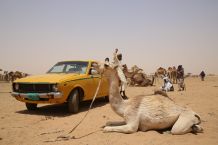 Kamelmarkt in Omdurman