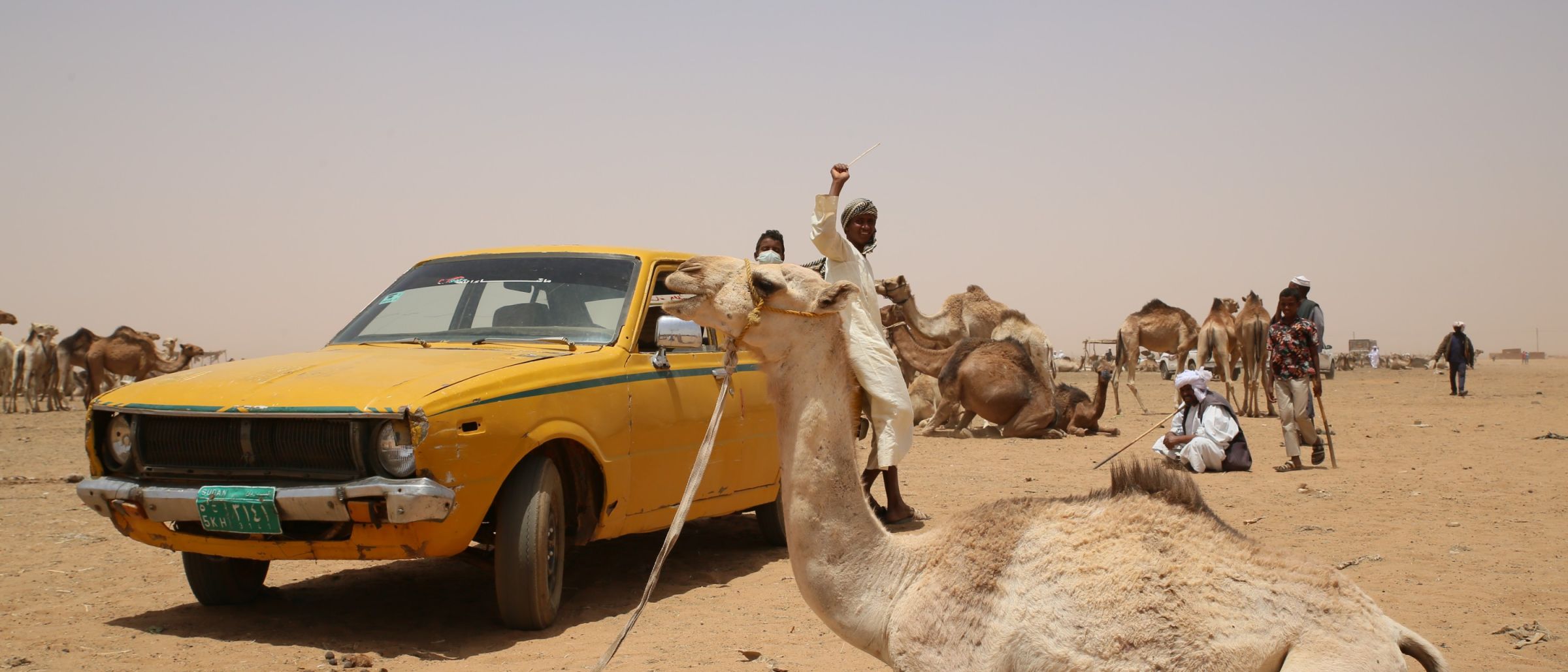 Kamelmarkt in Omdurman