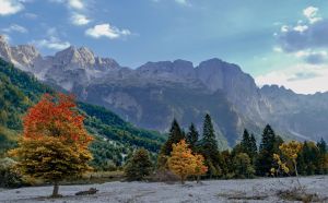 Herbstlaubfärbung in den Bergen von Albanien