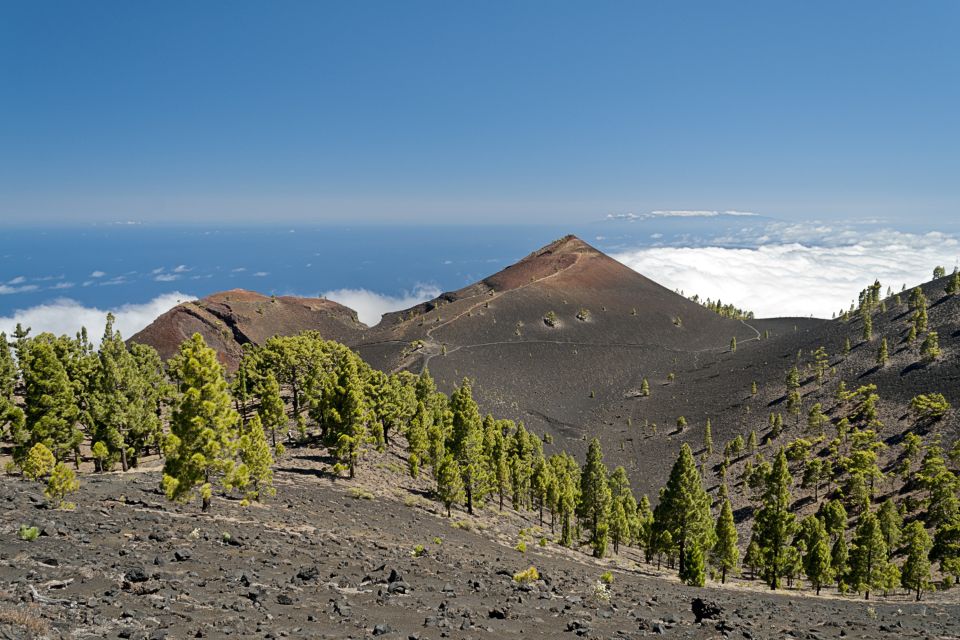 Blick über die Lavafelder auf der Routa de los Volcanes