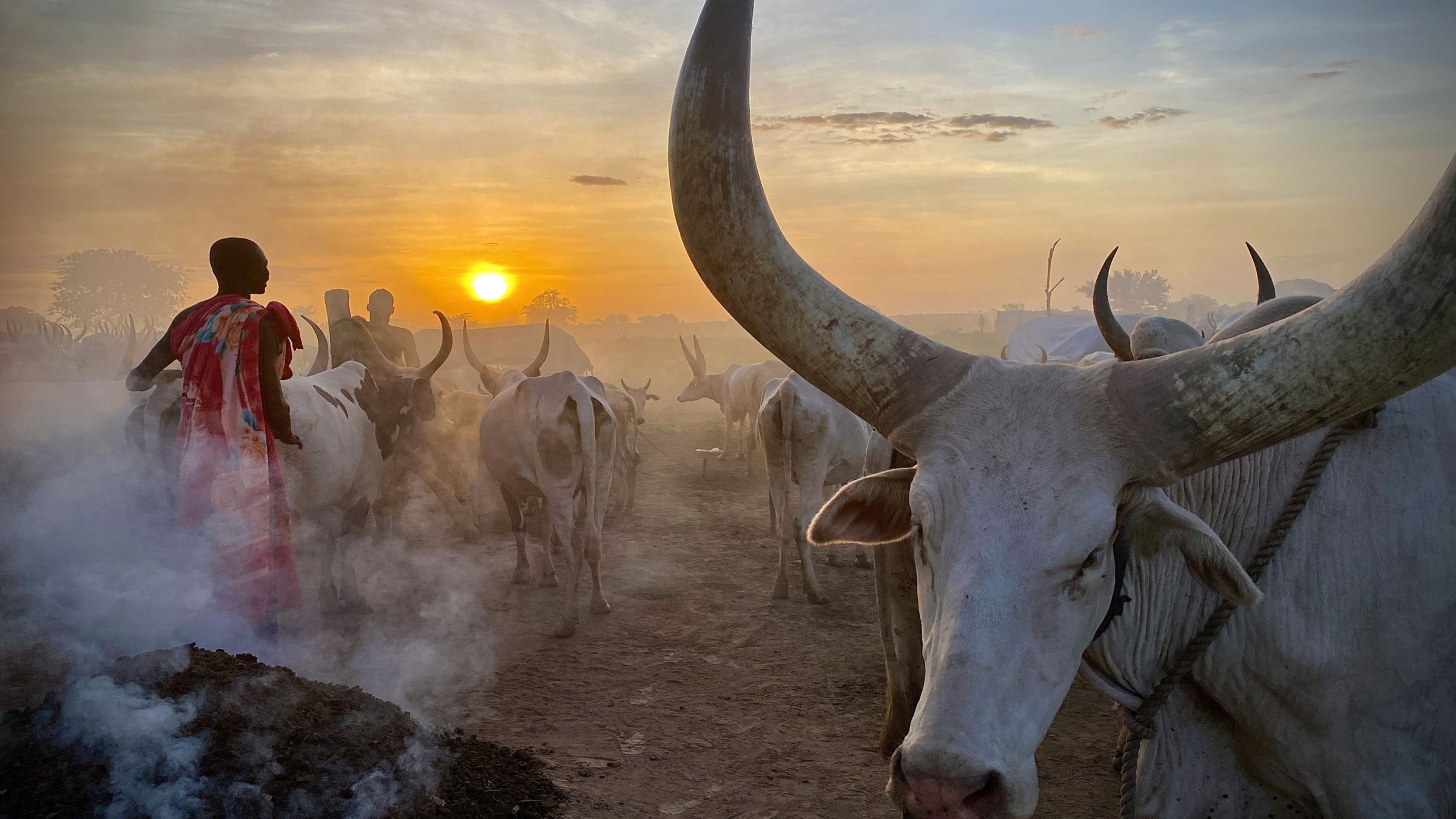Mundari und ihre Rinder im Sonnenuntergang