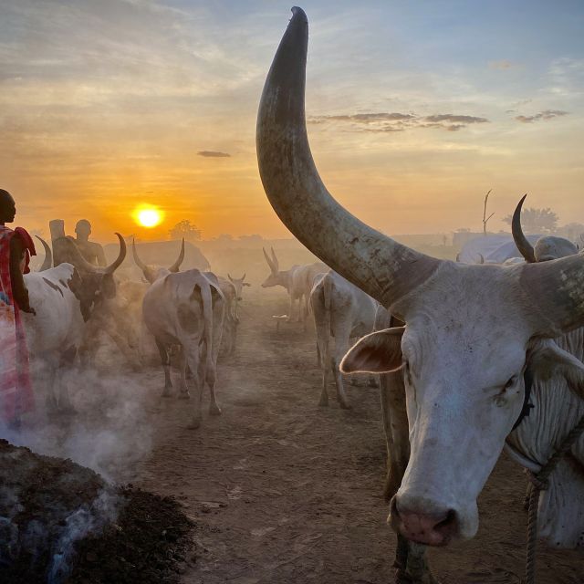 Das Volk der Mundari und ihre Rinder im Südsudan