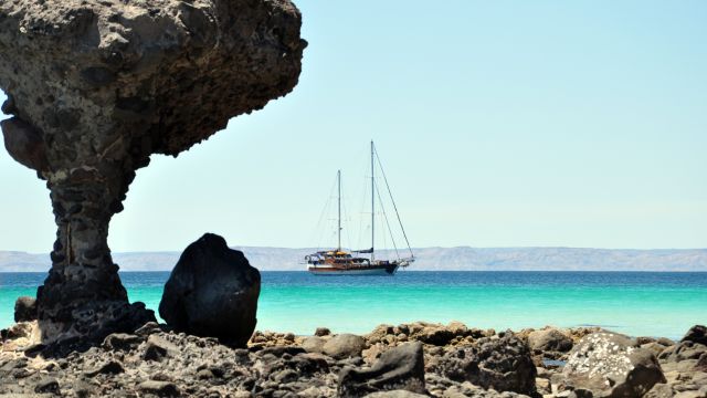 Ausblick auf die Playa Balandra bei La Paz