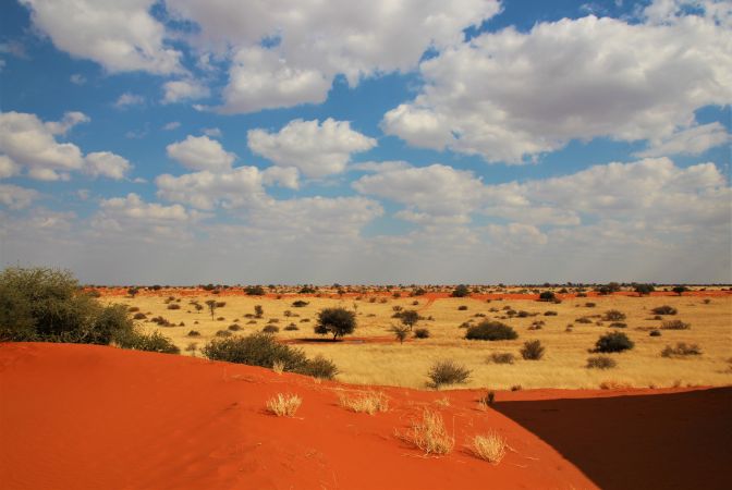 die roten Dünen der Kalahari © Diamir