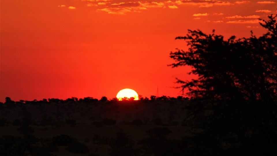 die roten Dünen der Kalahari