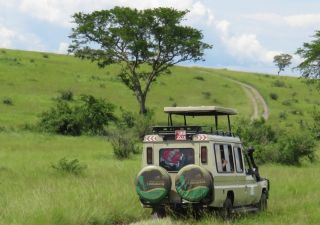 Safarifahrzeug unterwegs in Uganda