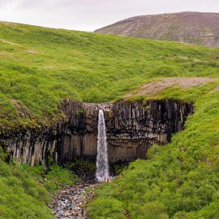 Wasserfall Svartifoss in Island in grüner Kulisse