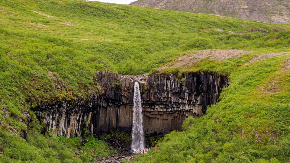 Wasserfall Svartifoss in Island in grüner Kulisse