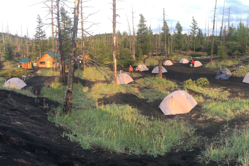 Camp im Toten Wald