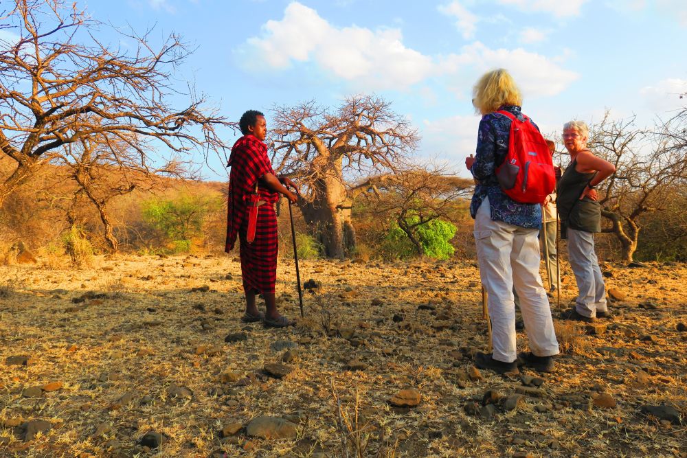 Auf Safari unterwegs in Tansania