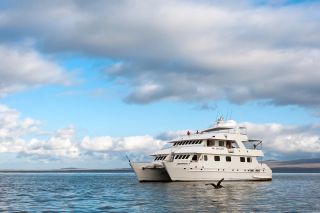 Galapagos-Kreuzfahrt mit der „Seaman Journey“