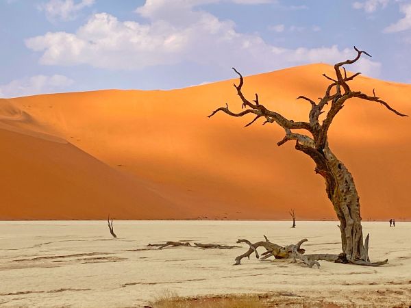 Deadvlei in Namibia © Diamir