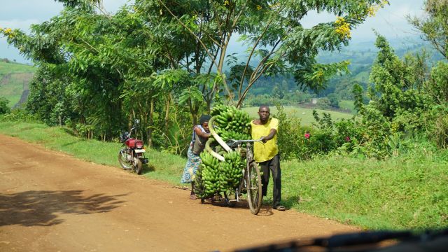 Dorfszene in Uganda