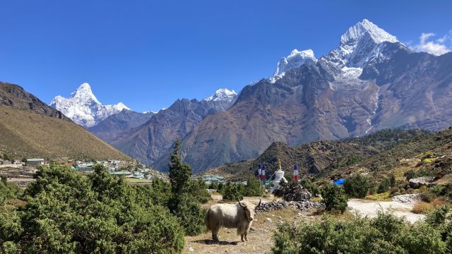 Wanderung im Everest-Gebiet mit Blick auf die formschöne Ama Dablam (6812 m, links)