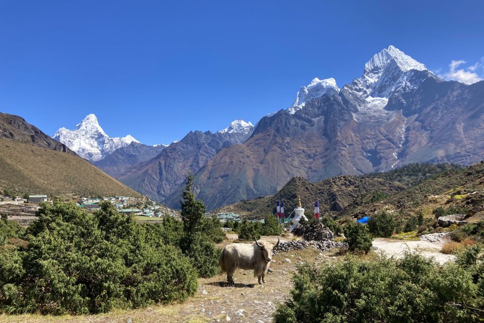 Wanderung im Everest-Gebiet mit Blick auf die formschöne Ama Dablam (6812 m, links)
