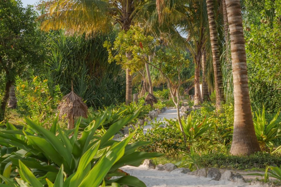 Der tropische Garten des Zanzibar Pearl