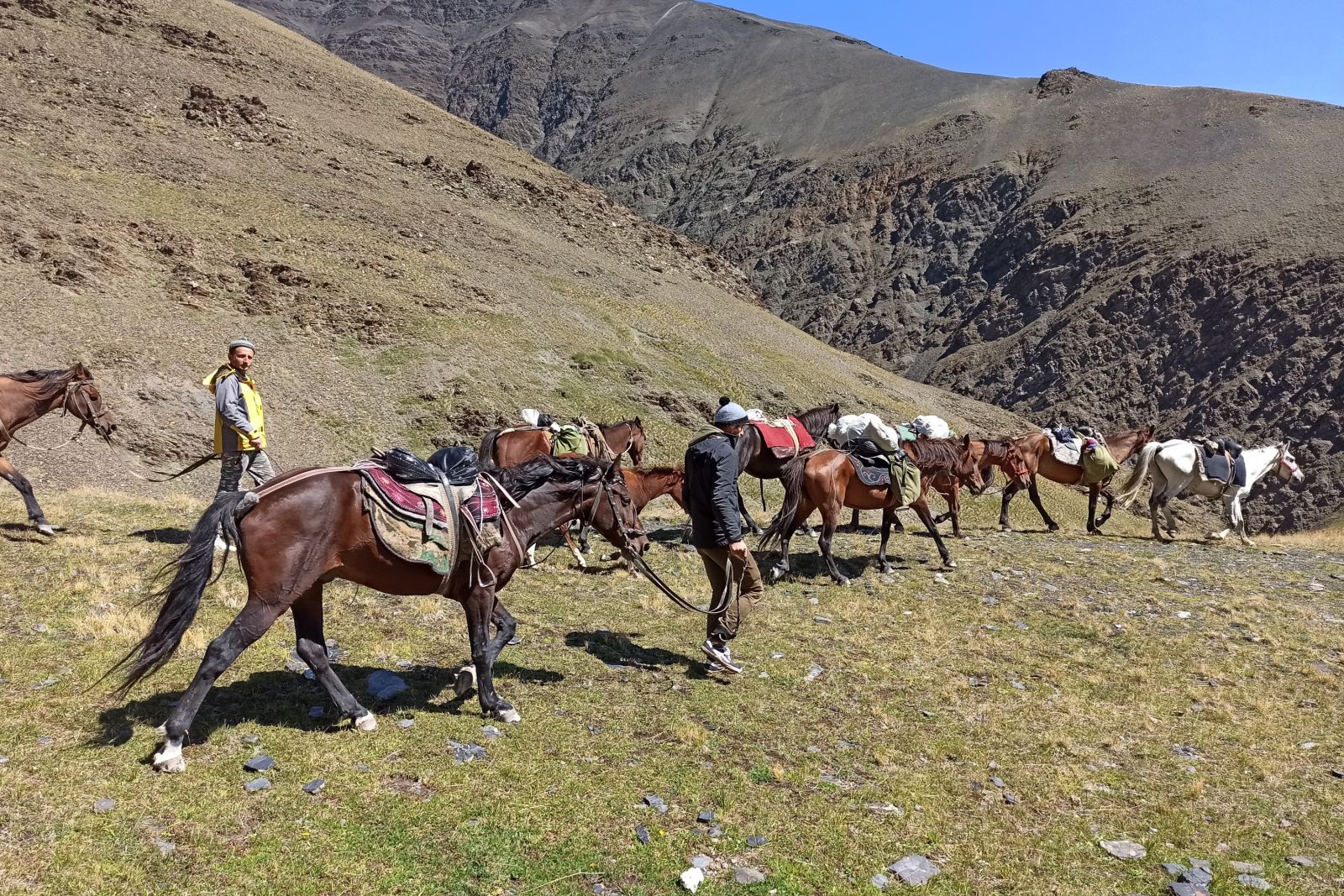 Georgier nutzen Ihre Pferde auch als Gepäcktransport, Georgien – Tuschetien