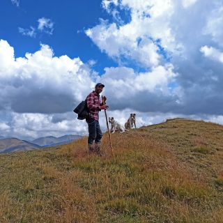 Georgier mit seinen Hunden, Georgien – Tuschetien