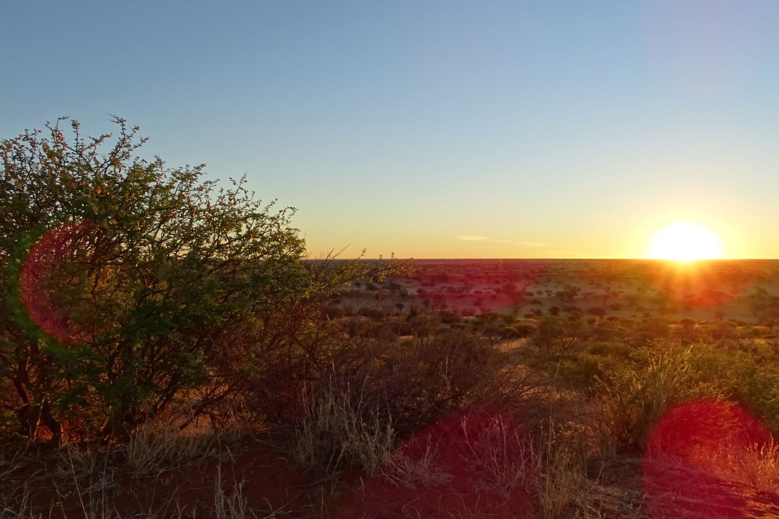 Wüstenzauber unter Sternenhimmel, meine Reise nach Namibia