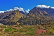 Farbenpracht in Hunza-Nager 