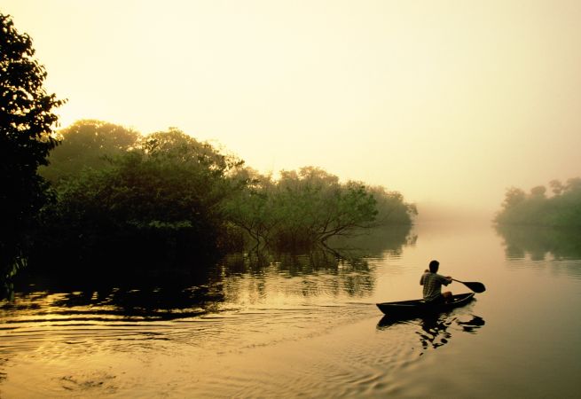Frühnebel auf einem Seitearm des Rio Negro © Diamir