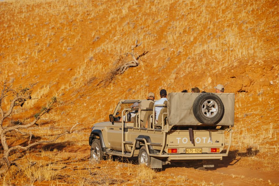 Safarifahrzeug mit Gästen in der Wüstenlandschaft von Namibia