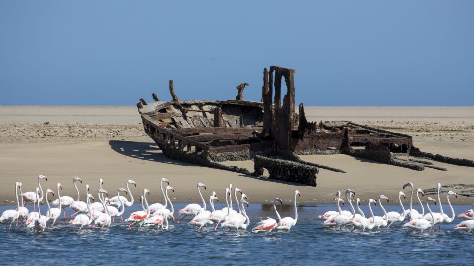 Flamingos und Wrack an der Walvis Bay