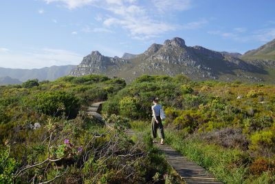Traumhafte Kulisse: Küstenlandschaft bei Kapstadt (Kleinmond)