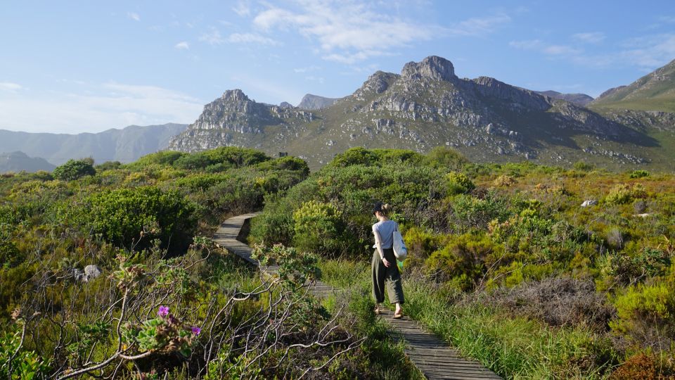 Traumhafte Kulisse: Küstenlandschaft bei Kapstadt (Kleinmond)