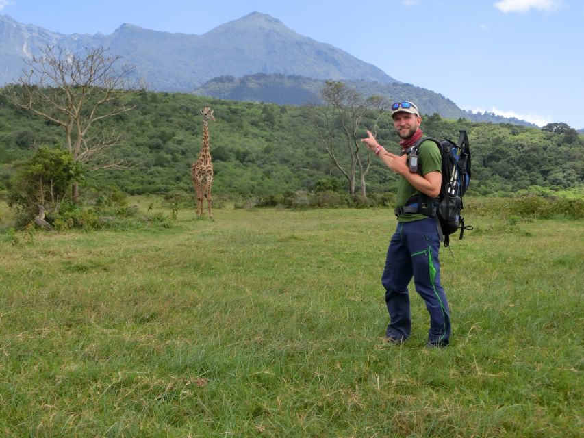 Reiseleiter Uwe Jeremiasch vor dem Mount Meru und einer Giraffe, Arusha NP