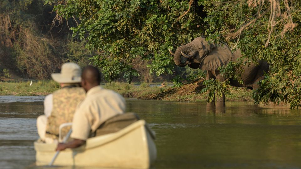 Trinkender Elefant aus nächster Nähe auf Kanusafari