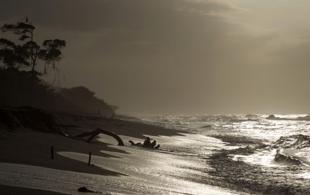 Palomino Strand an der Karibikküste