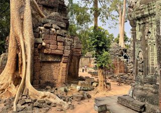 Angkor menschenleer zu genießen war ein Höhepunkt unserer Reise