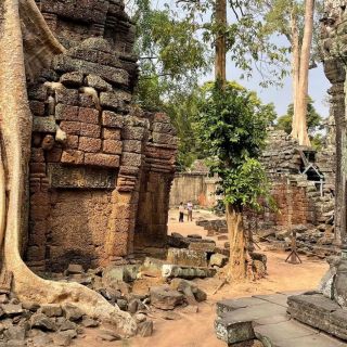 Angkor menschenleer zu genießen war ein Höhepunkt unserer Reise