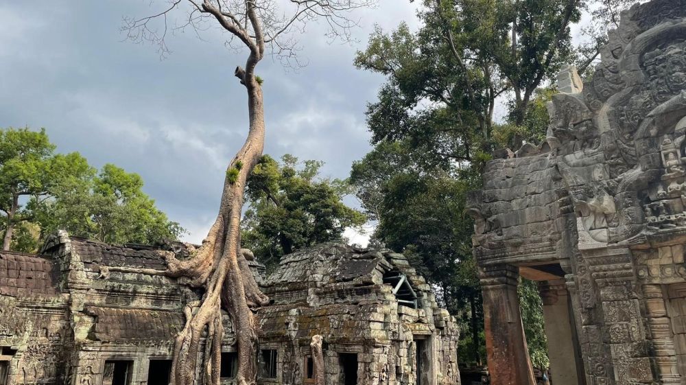 Überwachsener Tempel von Angkot Thom