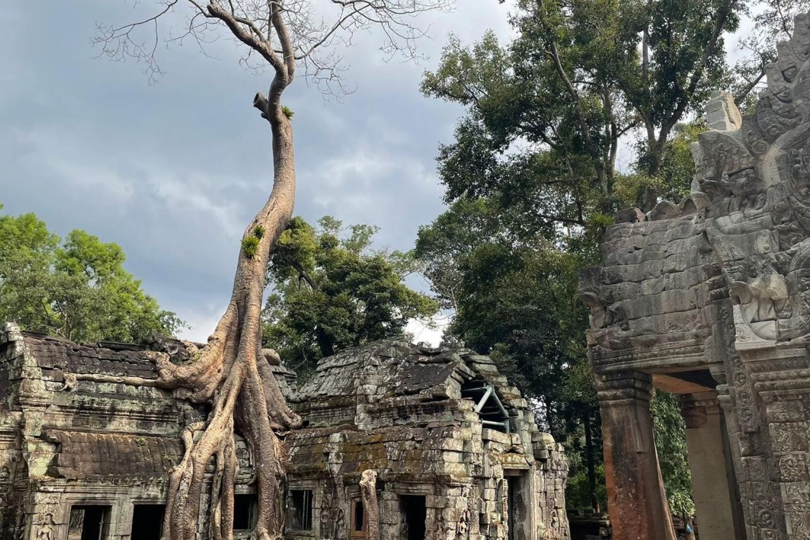 Überwachsener Tempel von Angkot Thom