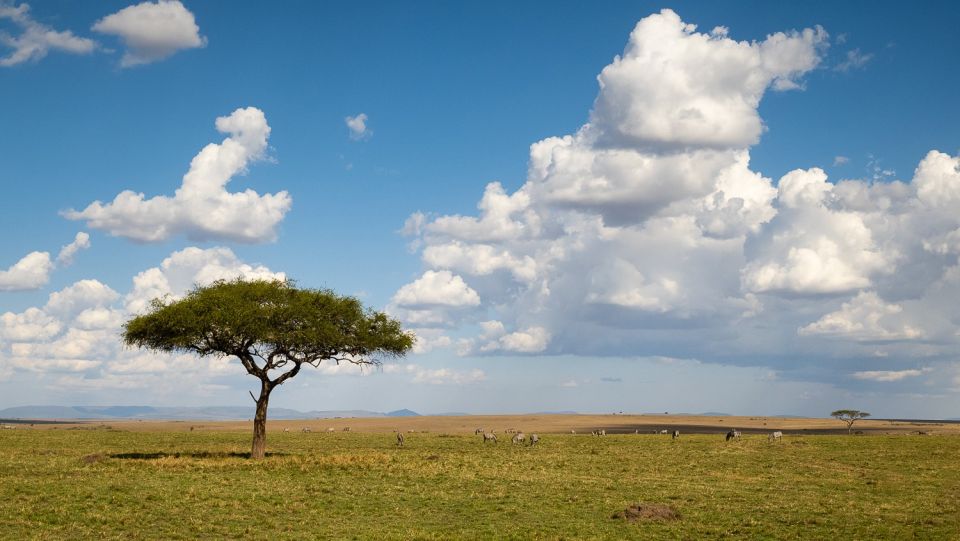 Die Weite der Masai Mara