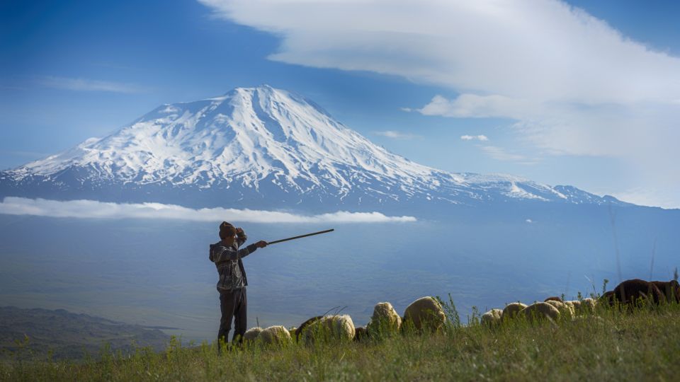 Ararat mit Hirten im Vordergrund