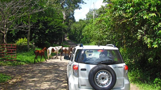 Per Mietwagen durch Guanacaste