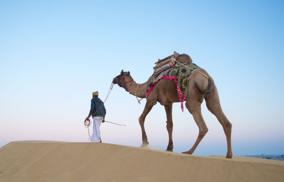 Mann unterwegs mit Kamel in der Wüste Thar bei Jaisalmer