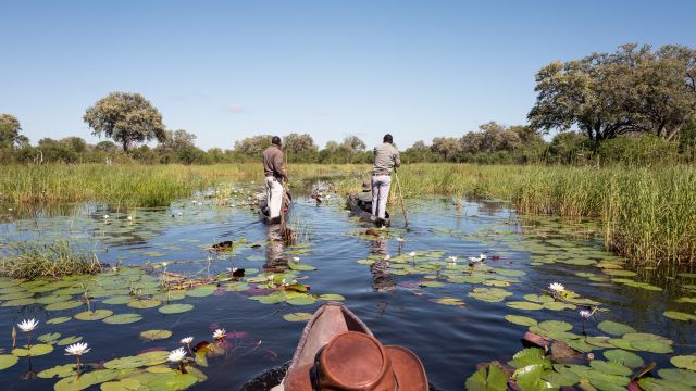 Sundowner-Bootsfahrt im Okavango-Delta