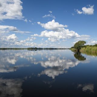 Perfekter Start: Spiegelungen am Chobe River