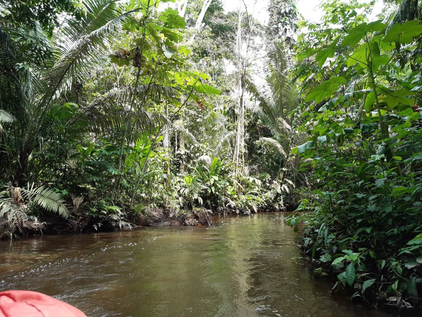 Im Boot durch den Regenwald am Rio Napo