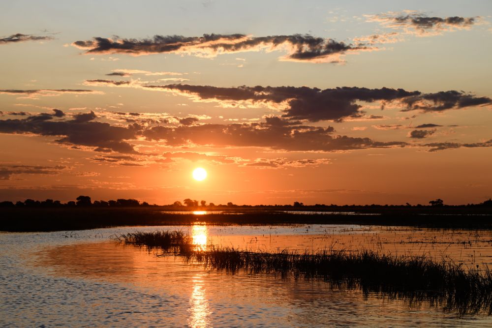 Sonnenuntergang am Chobe River 